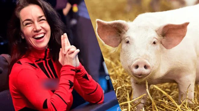Liv Boeree美女牌手 捐出56萬美元改善豬的待遇