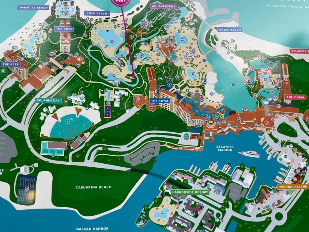 Triton Bahamas x WSOP Paradise 2025 :高額撲克12月邂逅海島奢華